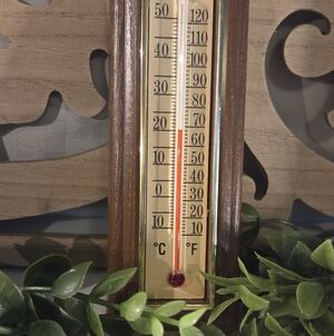 VINTAGE WALL THERMOMETER 🌿 Springfield Wood Look Farmhouse Decor Indoor